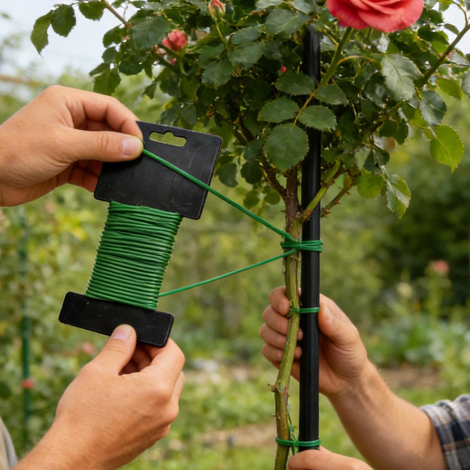 10m Gardening Ties Plant Suppo - Cable Lock Flexible ulasan dan harga